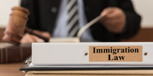 Migration Law: Your Guide to Navigating Immigration Challenges